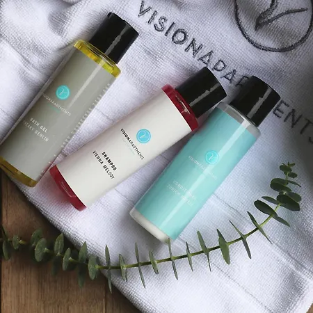 Visionapartments - Contactless Check-in Апарт-готель Лугано